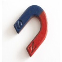 Magnet - Horseshoe Shape Magnet - Horseshoe Shape